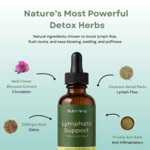 Lymphatic Support Drops