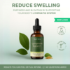 Lymphatic Support Drops